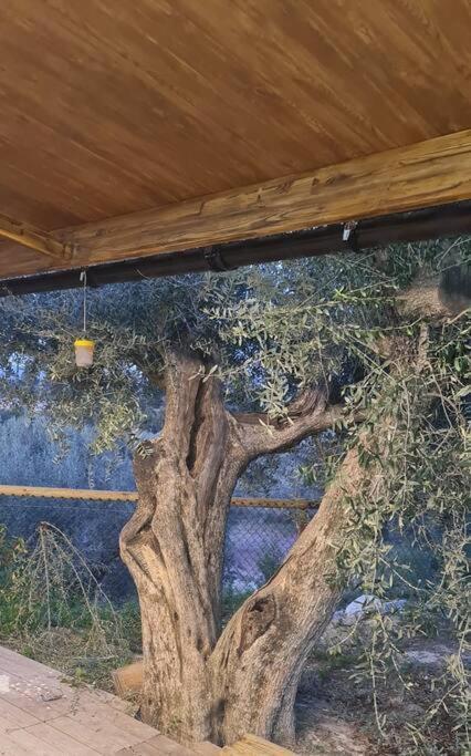 Casaruibella Βίλα Moratalla  Εξωτερικό φωτογραφία