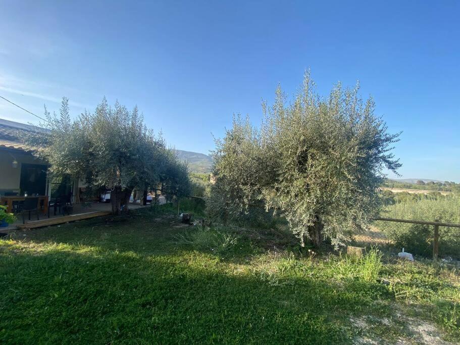 Casaruibella Βίλα Moratalla  Εξωτερικό φωτογραφία